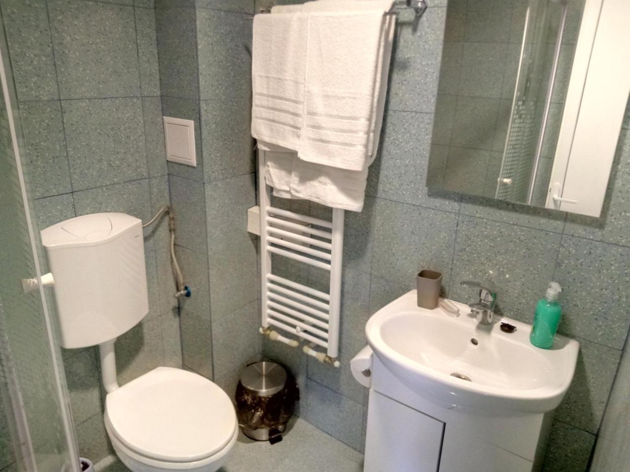 Camere De Inchiriat Carpati Χουνεντοάρα Εξωτερικό φωτογραφία